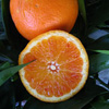 Citrus Sinensis - Arancio