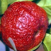 Ruby red